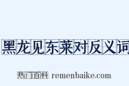 黑龙见东莱对反义词是什么意思的图片